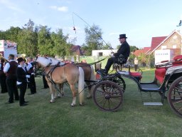 Schützenfest 2013
